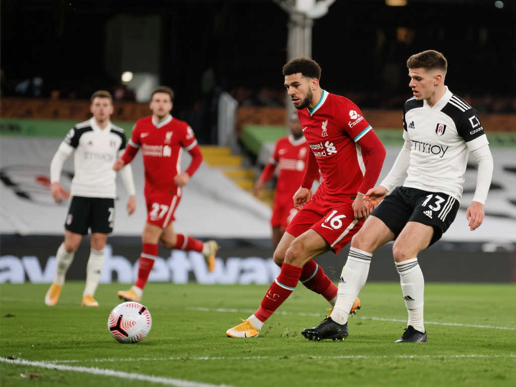 在比赛中逐 在比赛中逐